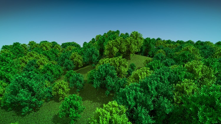 green trees preview image 1